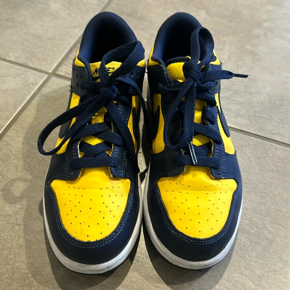 Nike dunks